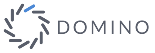 Domino Data Lab Logo