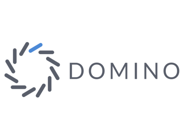 Domino Data Lab