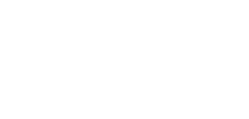 NIM logo light